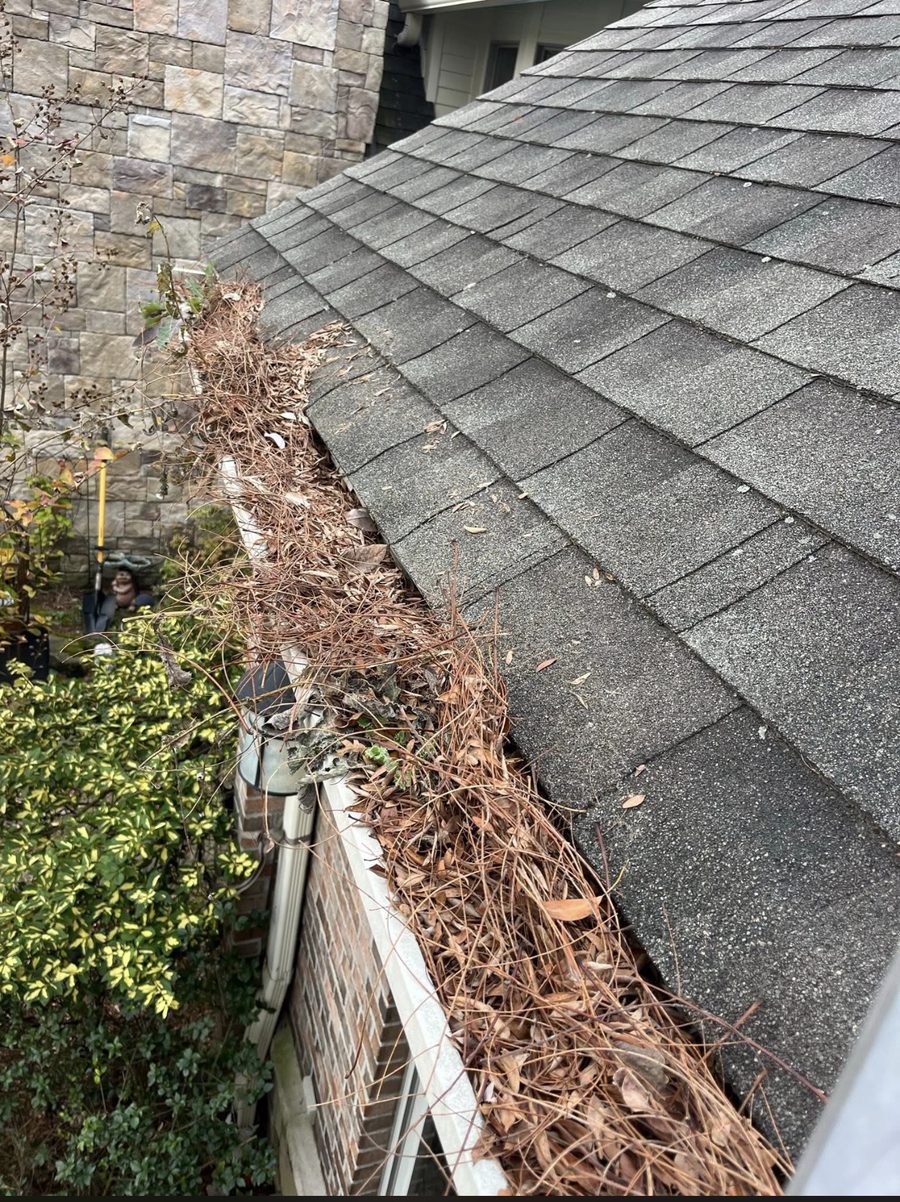 Gutter cleaning and whitening service